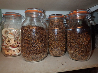 Pergan varastoiminen