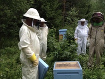 Kuva: Eija Hatanpää